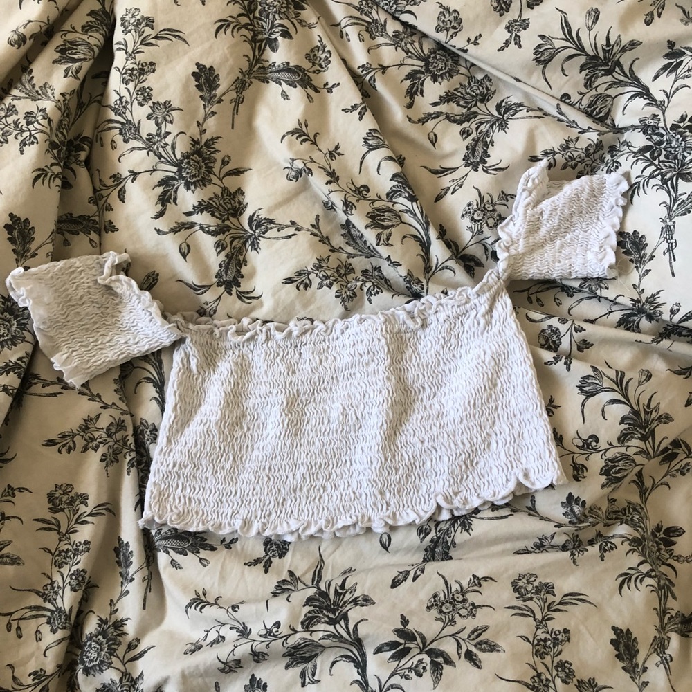 Rouged Zara Crop Top